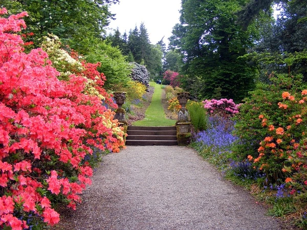 imagen PLANTAS DE EXTERIOR Y JARDÍN